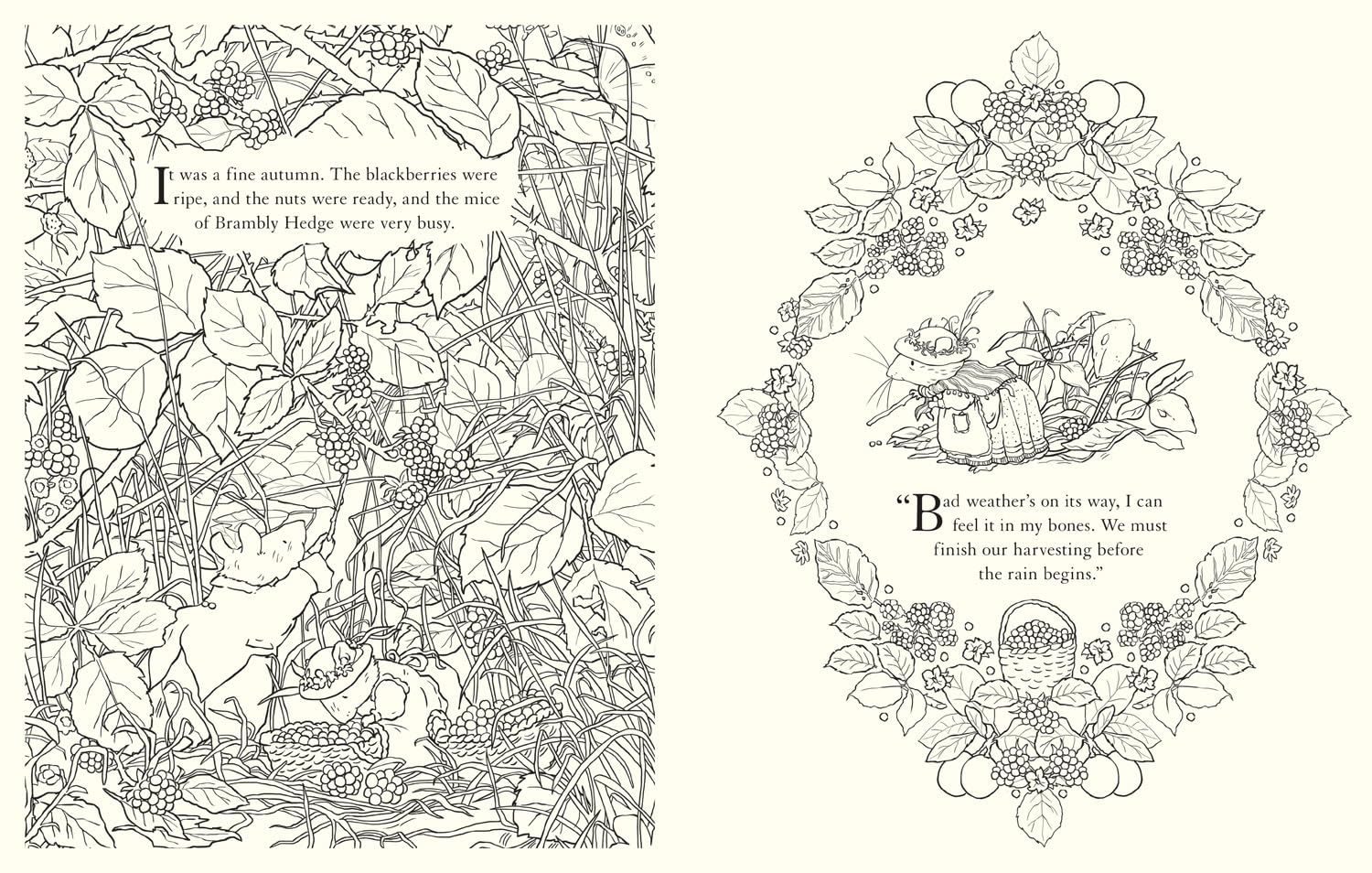 Brambly Hedge: Festive Colouring Book