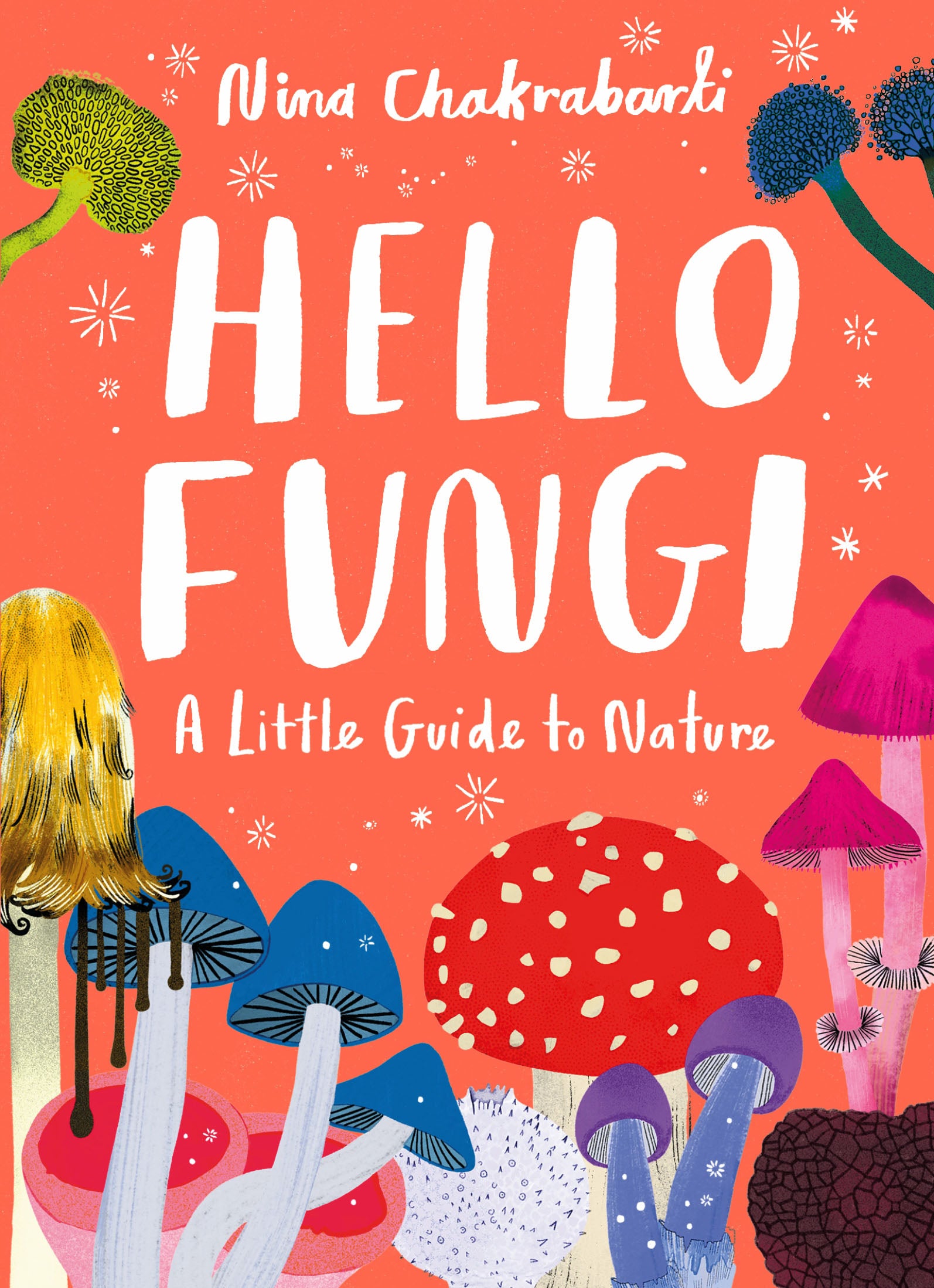 HELLO FUNGI: A LITTLE GUIDE TO NATURE